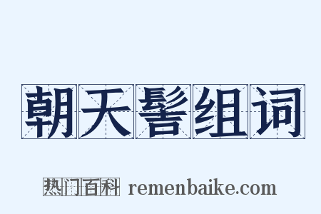 朝天髻组词是什么意思的图片